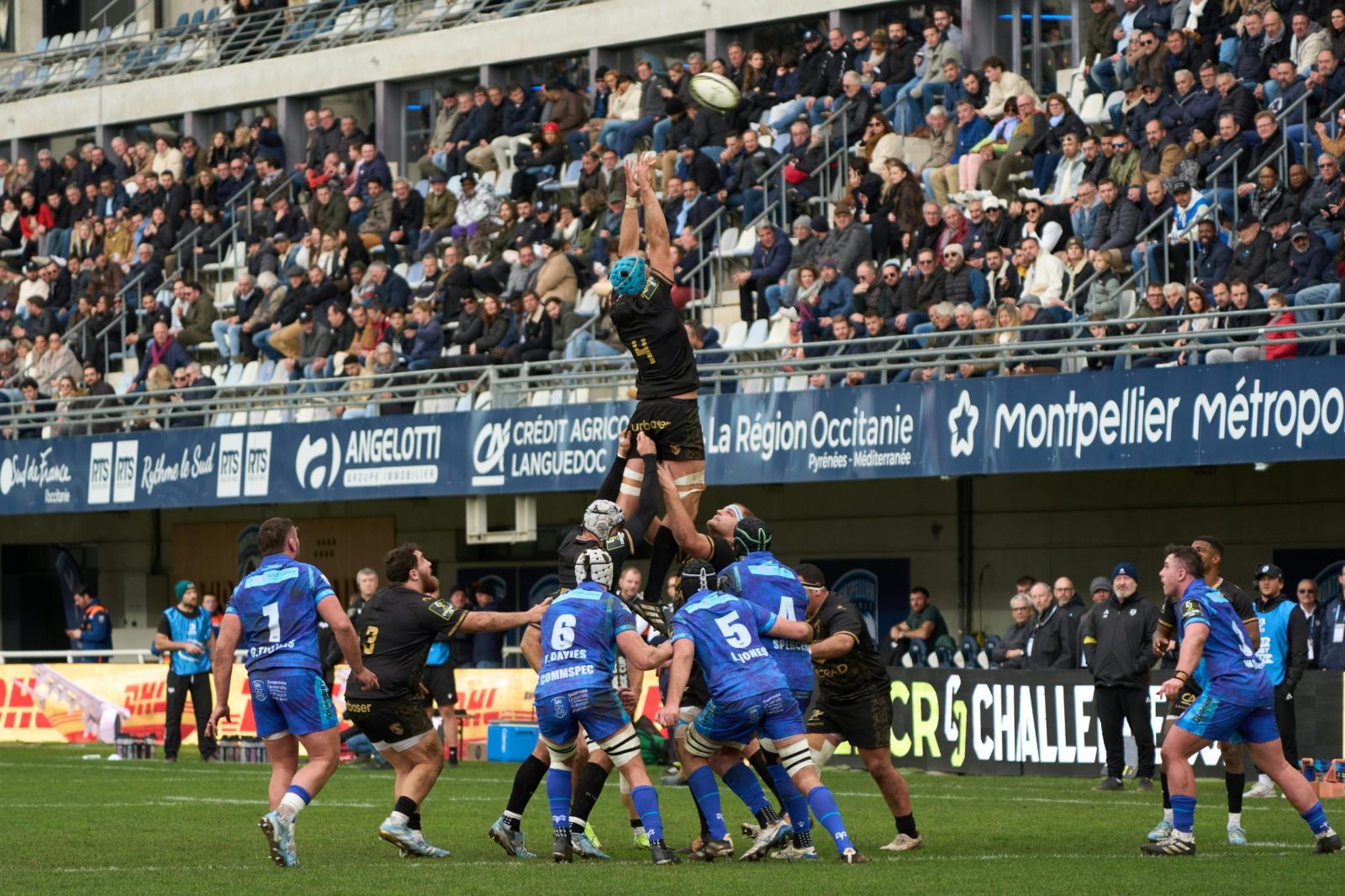 Pariez sur la Coupe du monde de rugby !